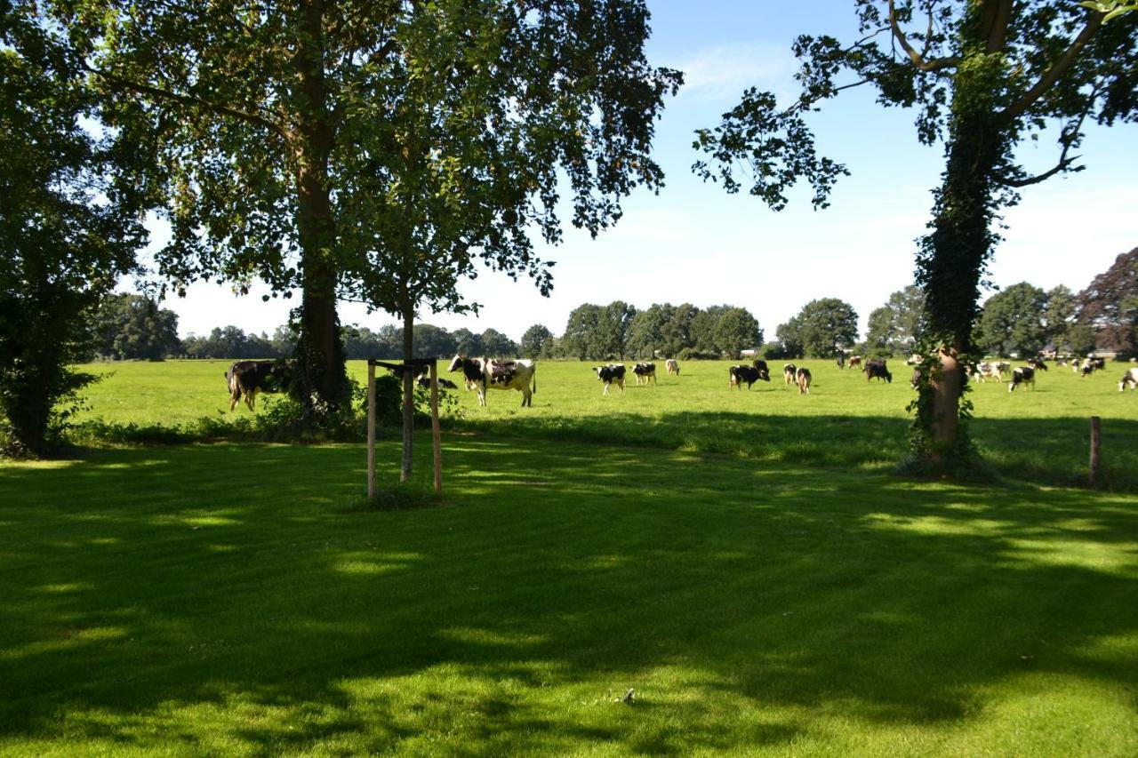 Op De Kuyerlatten * Zwolle (Overijssel)